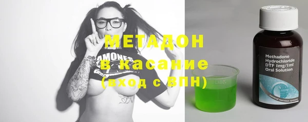 сатива Гусь-Хрустальный