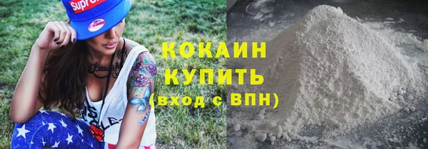 сатива Гусь-Хрустальный