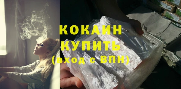 стафф Гусев