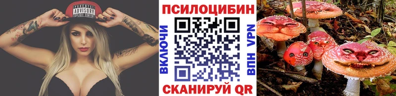 как найти   Находка  Псилоцибиновые грибы мухоморы 